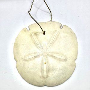 5" Hanging Real Dried Sand Dollar Shell Seashell Ocean Beach Nautical